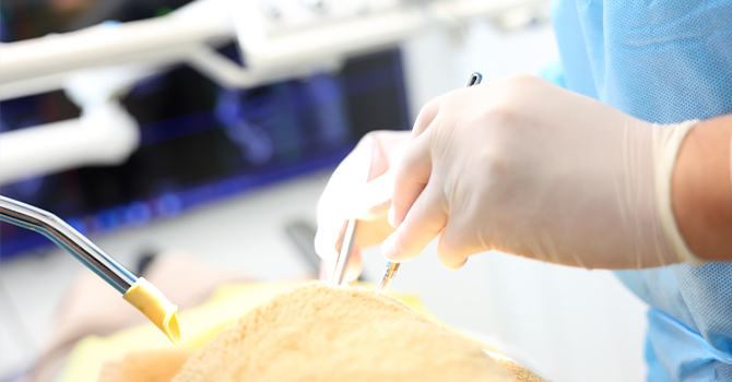 事前の麻酔にも力を入れて、なるべく痛みの少ない治療を実現